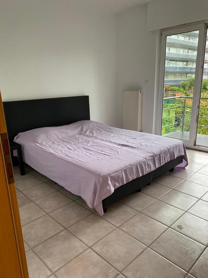 Superbe Appartement Lumineux Et Spacieux Antwerp Exterior photo